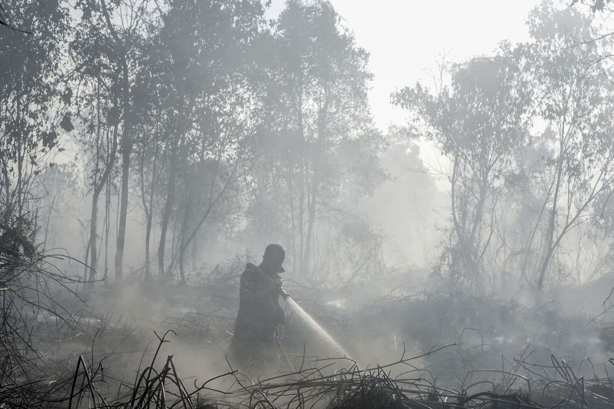 Menhut Raja Juli Antoni Selidiki 3 Perusahaan Terkait Karhutla di Jambi