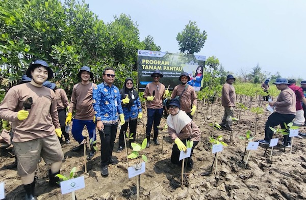Perkuat Ketahanan Pesisir Utara Jawa Hadapi Perubahan Iklim, PGN Grup Tanam Lebih dari 269.000 Mangrove