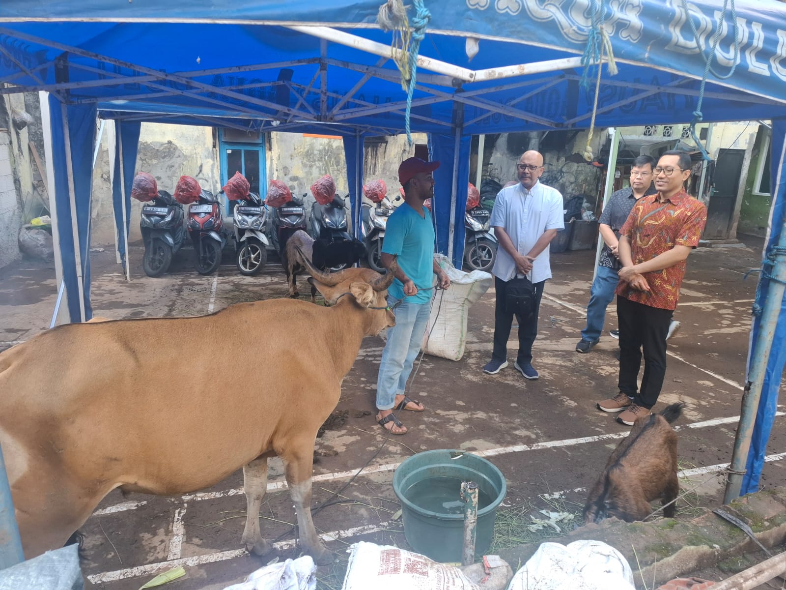 Menjaga Semangat Keberagaman, Gereja Santa Theresia Serahkan Hewan Kurban untuk Umat Muslim