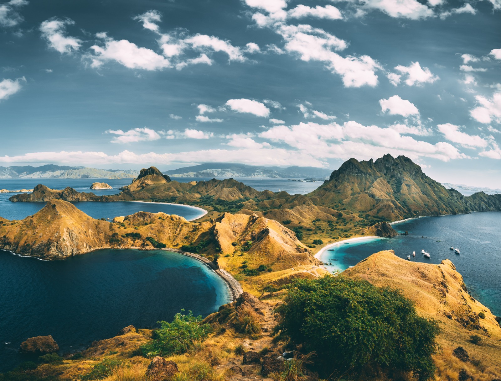 Begini Tanggapan Grup Artha Graha soal Pemberitaan Terkait Taman Nasional Komodo