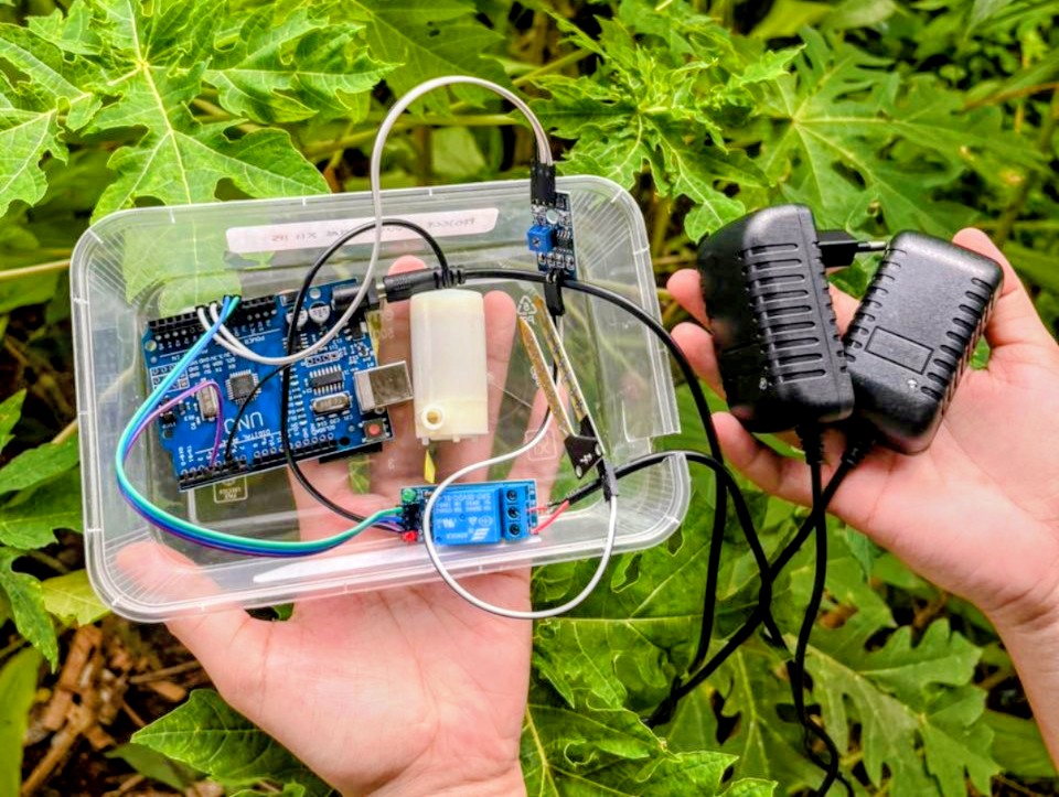 Atasi Krisis Pangan 2045, Siswa XII IPS SMA Candle Tree Gagas Pertanian Berbasis IoT