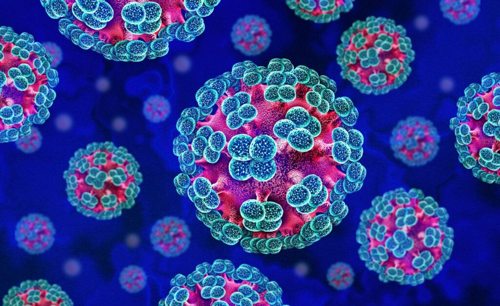 Tenang, WHO Pastikan Wabah Hantavirus di Kapal Pesiar Bukan Awal Pandemi