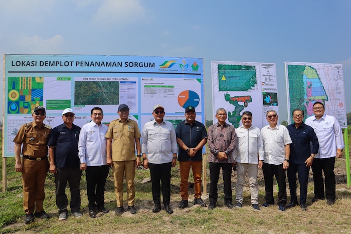 Wamen Investasi dan Hilirisasi RI Tinjau Lokasi Lahan PTPN I Regional 7 di Lampung Selatan