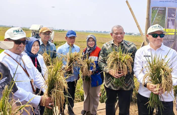 BRIN-PGN-Pemkab Batang Jawab Tantangan Perubahan Iklim Lewat Teknologi Ketahanan Pangan