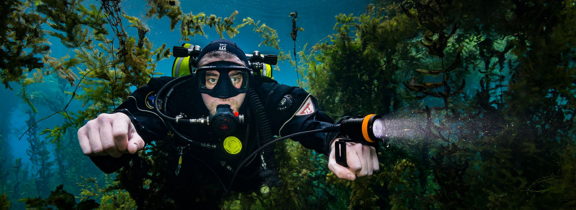  Wajib Hadir di ICE BSD! Ini 4 Alasan DRT SHOW 2026 Jadi Surga Pencinta Dunia Bawah Laut