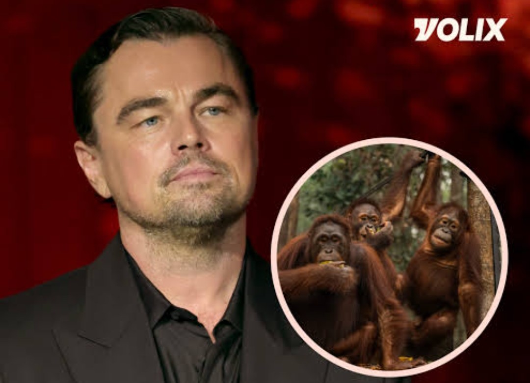 Leonardo DiCaprio Soroti Kebakaran Hutan di Kalimantan dan Sumatra, Kondisi Orangutan Memprihatinkan