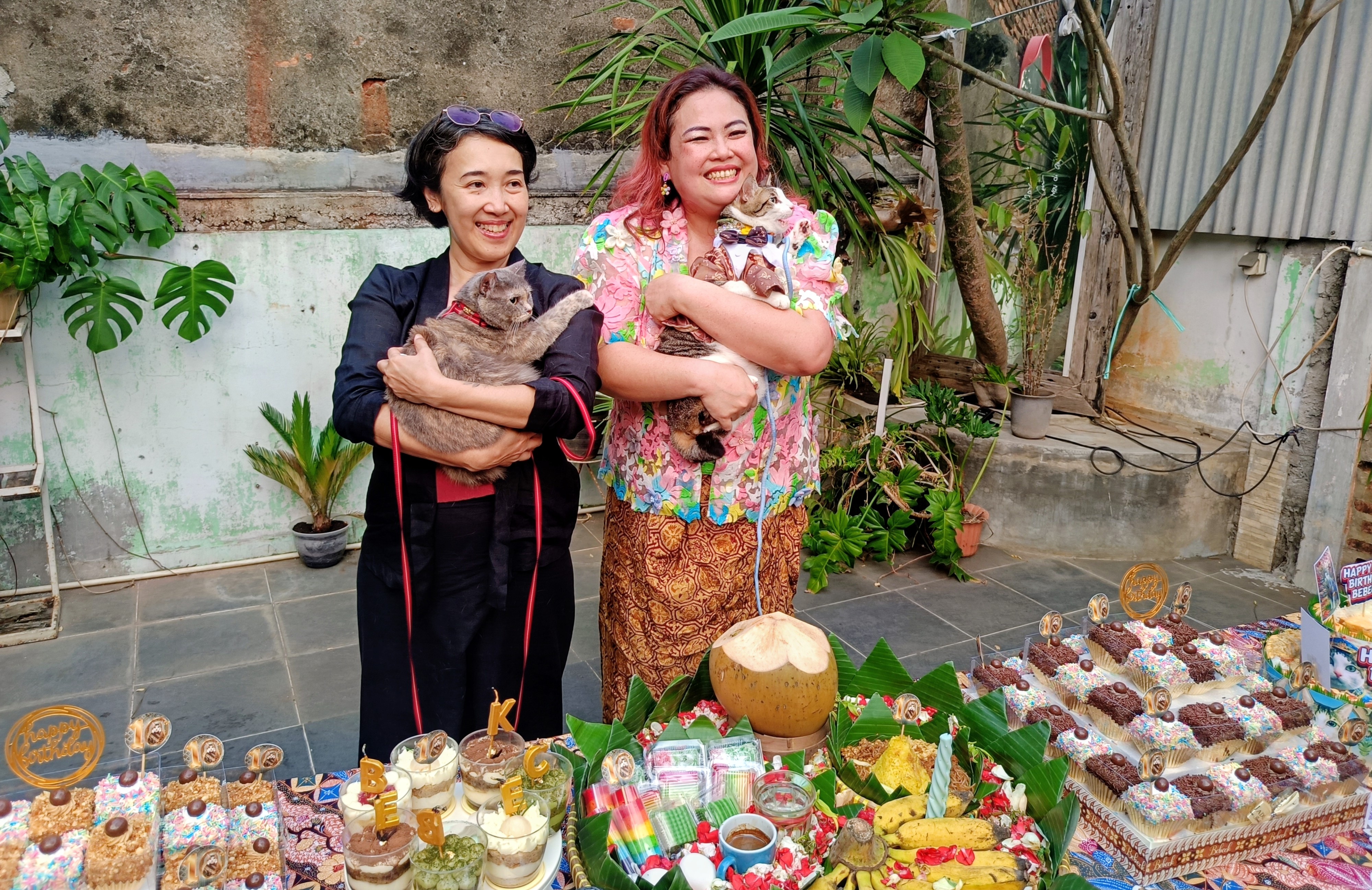Bukan Cuma Manusia! Heboh Pesta Ultah Kucing di Jakarta Pusat Dirayakan Bagai Anak Kecil