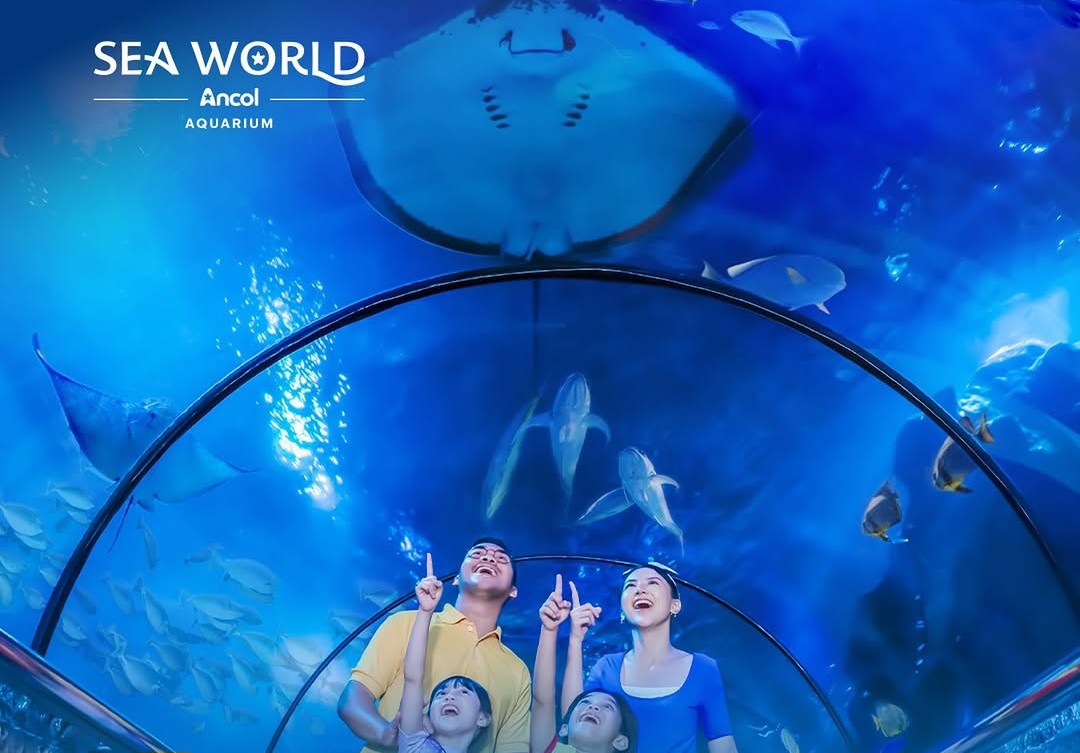 Begini Cara Sea World Mengusung Semangat Menghidupkan Dunia Bawah Laut