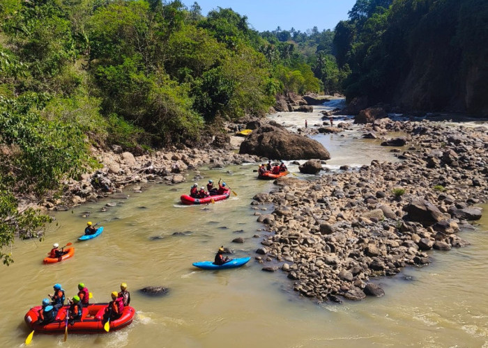 Dari Hutan Halimun Salak, Elpala Menjaga Warisan Alam Indonesia
