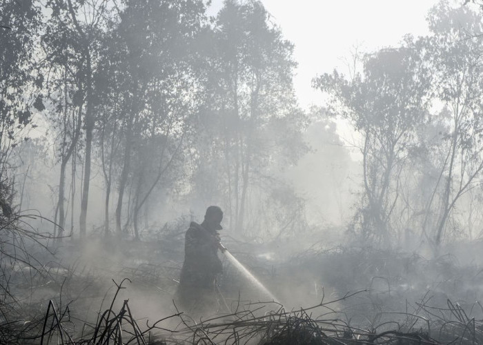 Menhut Raja Juli Antoni Selidiki 3 Perusahaan Terkait Karhutla di Jambi