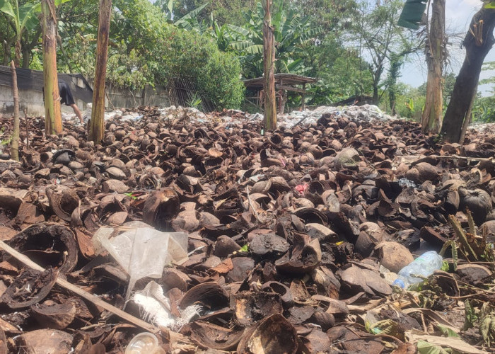 Limbah Sabut Kelapa Disulap Jadi Cocopeat Bernilai Ekonomis