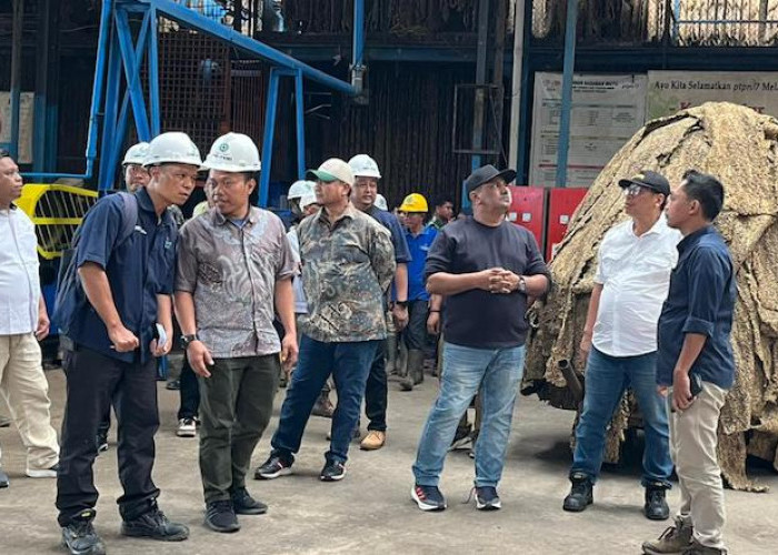 PTPN I Genjot Produksi Karet di Bengkulu