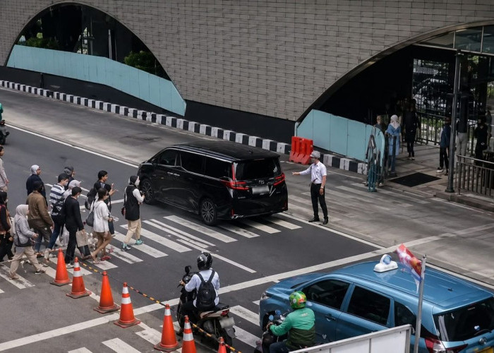 Ternyata, Ini Pemilik Alphard Viral di Zebra Cross Bundaran HI
