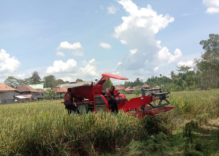 Sempat Viral, Dugaan Penyimpangan Alsintan di OKU Timur Tidak Terbukti