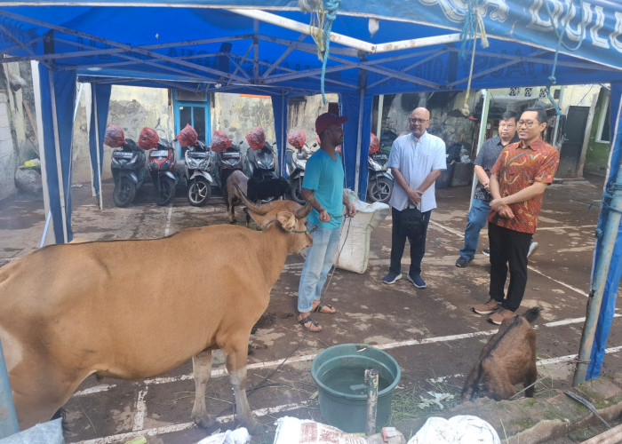 Menjaga Semangat Keberagaman, Gereja Santa Theresia Serahkan Hewan Kurban untuk Umat Muslim