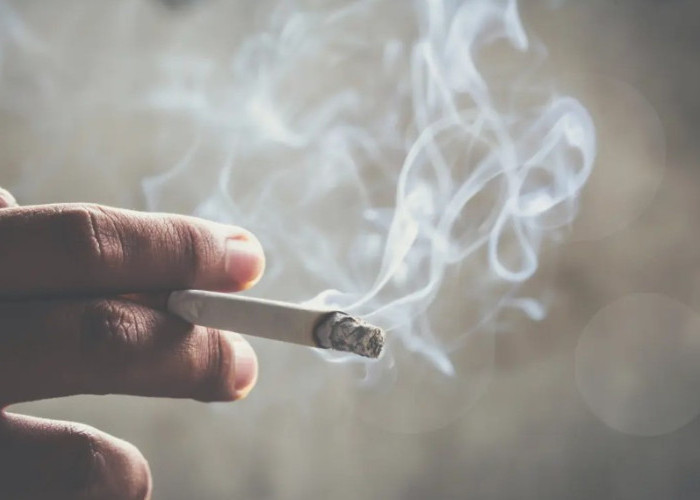 Viral, Anggota DPRD Kota Depok Terekam Menyalakan Rokok di Kawasan Tanpa Rokok