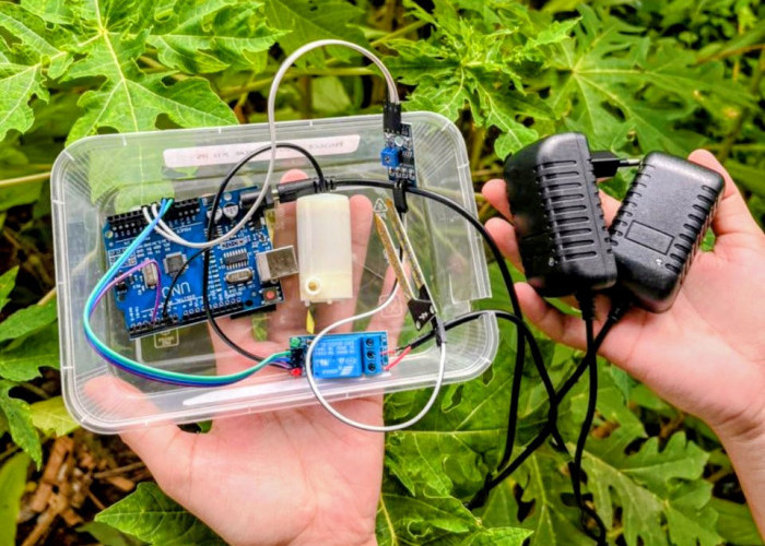 Atasi Krisis Pangan 2045, Siswa XII IPS SMA Candle Tree Gagas Pertanian Berbasis IoT