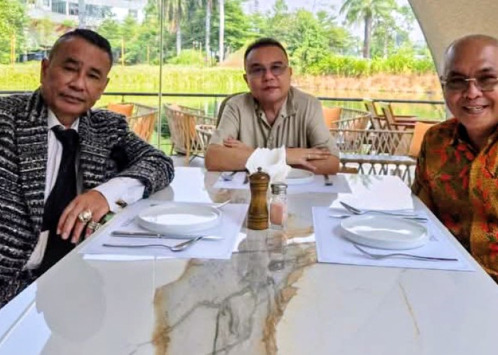 Begini Alasan Sufmi Dasco Pertemukan Hotman Paris dan PWI Pusat di Jakarta