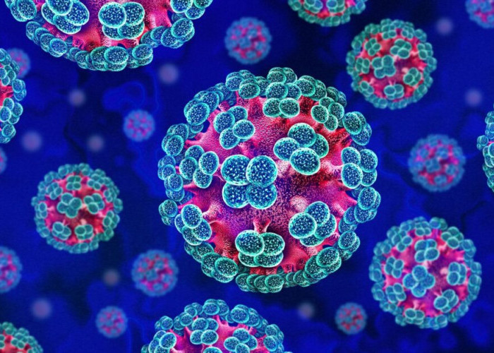 Tenang, WHO Pastikan Wabah Hantavirus di Kapal Pesiar Bukan Awal Pandemi