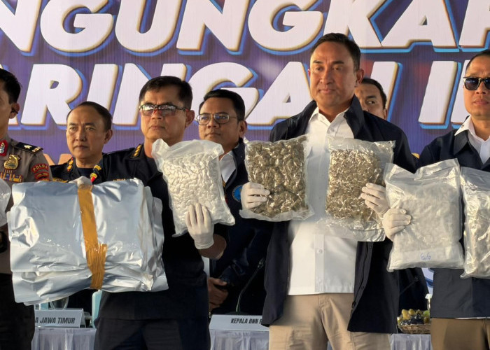 Bea Cukai dan BNN Sita Ganja 3,37 Ton Senilai Triliunan Rupiah