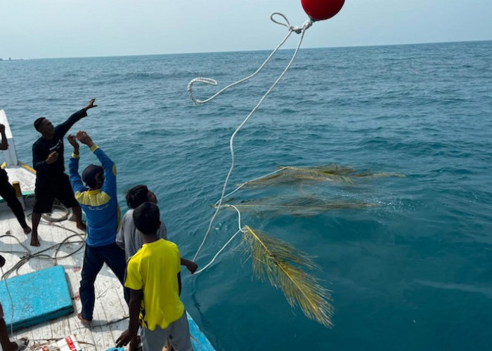 PLN UID Jakarta Raya Gagas Program Konservasi Pulau Sabira 