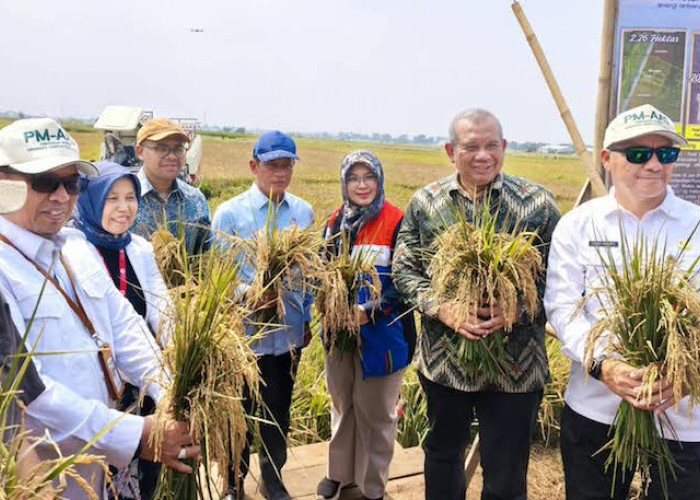 BRIN-PGN-Pemkab Batang Jawab Tantangan Perubahan Iklim Lewat Teknologi Ketahanan Pangan
