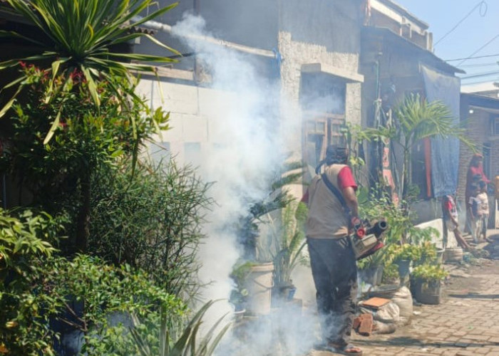 Respons Lamban, Anak 7 Tahun Kena DBD,  Warga Kampung Sawah Indah Lakukan Fogging Mandiri