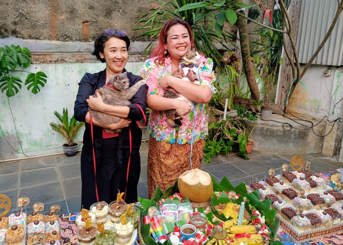 Bukan Cuma Manusia! Heboh Pesta Ultah Kucing di Jakarta Pusat Dirayakan Bagai Anak Kecil