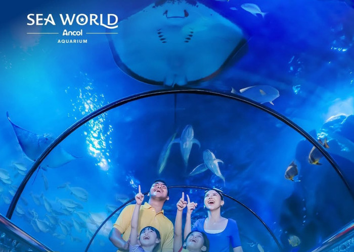 Begini Cara Sea World Mengusung Semangat Menghidupkan Dunia Bawah Laut