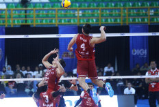 Jakarta Lavani Membuat Awalan Bagus di Bandung , Tundukkan Medan Falcons Tirta Bhagasasi