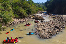Dari Hutan Halimun Salak, Elpala Menjaga Warisan Alam Indonesia
