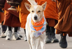 Cerita Aloka dan Kerukunan Umat Beragama