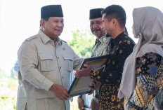 Abolisi Tom Lembong dan Amnesti Hasto Kristiyanto Upaya Prabowo Jaga Stabilitas Politik Indonesia