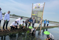 Pengembangan Padi Biosalin, PGN-BRIN Tingkatkan Produktivitas dan Nilai Ekonomi Pesisir Batang