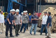 PTPN I Genjot Produksi Karet di Bengkulu