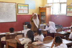 Kenaikan Insentif Guru Honorer Perlu Diimbangi Perhatian bagi Tenaga Administratif Sekolah
