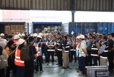 Pelabuhan Tanjung Priok Disorot, Pemerintah Kejar Normalisasi Logistik Nasional