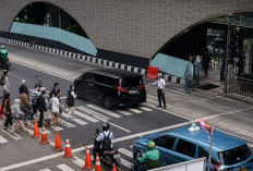 Ternyata, Ini Pemilik Alphard Viral di Zebra Cross Bundaran HI