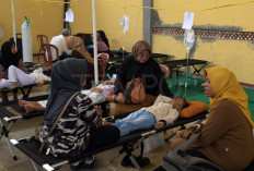 Pantas Saja, KSP Ungkap Jumlah Dapur MBG yang Bersertifikat Higienis