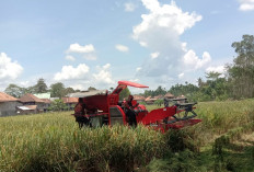 Sempat Viral, Dugaan Penyimpangan Alsintan di OKU Timur Tidak Terbukti