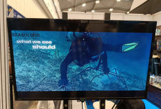 DRT SHOW Tanamkan Gen Konservasi demi Keberlanjutan Perairan Biru bagi Generasi Mendatang