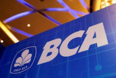  BBCA Diborong Direksi Saat Turun! 