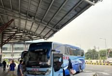 Mangkal di Flyover Pasar Rebo, Pemkot Jatim Tertibkan 6 Bus AKAP