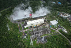 Siap Caplok Raksasa Energi Filipina, Prajogo Pangestu Ajukan Tawaran Fantastis Rp 80 Triliun