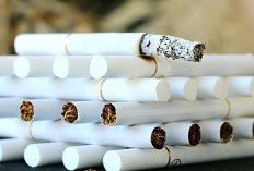 6 Cara Ampuh Berhenti Merokok Bagi Perokok Aktif
