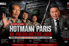 Persatuan Wartawan Indonesia Polisikan Hotman Paris Buntut Ucapan Hinaan 'Lu Punya Otak Nggak'
