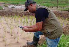 Anggaran Rp 4,7 Triliun Serius Dipertanyakan, Zam Zam Minta Mentan Buka Data