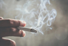 Viral, Anggota DPRD Kota Depok Terekam Menyalakan Rokok di Kawasan Tanpa Rokok
