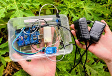 Atasi Krisis Pangan 2045, Siswa XII IPS SMA Candle Tree Gagas Pertanian Berbasis IoT