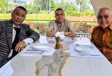 Begini Alasan Sufmi Dasco Pertemukan Hotman Paris dan PWI Pusat di Jakarta